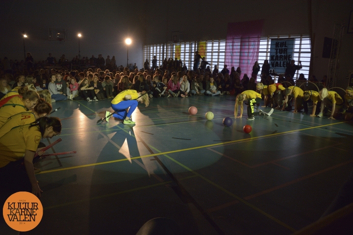 Labbpresentation Quidditch Kulturkarnevalen 2014 i Vasa 